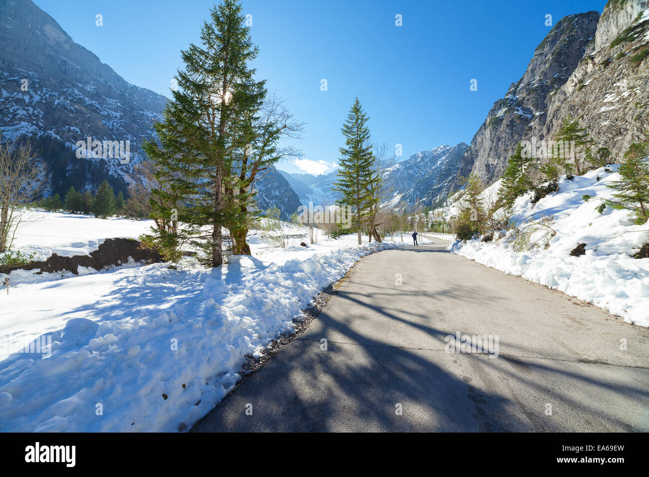 Chute de neige au début de l'hiver et la fin de l'automne. La route d'hiver dans la forêt. Banque D'Images