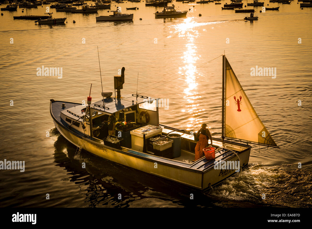 AJA O, l'un des petits bateaux de pêche du homard la position dans le port de Plymouth, Massachusetts, à l'aube avec ses prises. Banque D'Images
