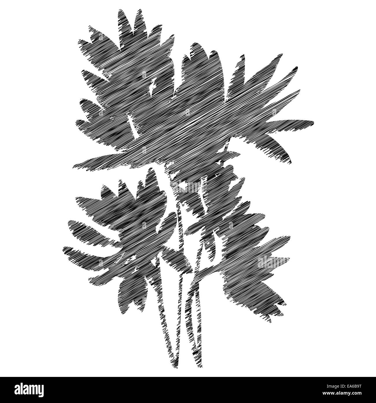 Silhouette pochoir fleurs Banque D'Images