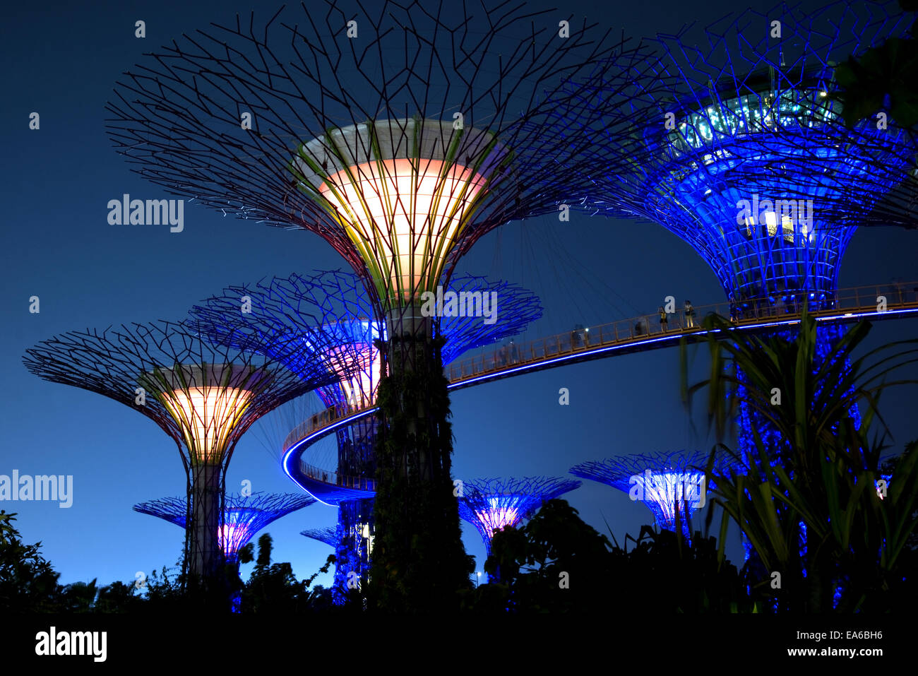 Supertrees, jardins de la baie, à Singapour Banque D'Images