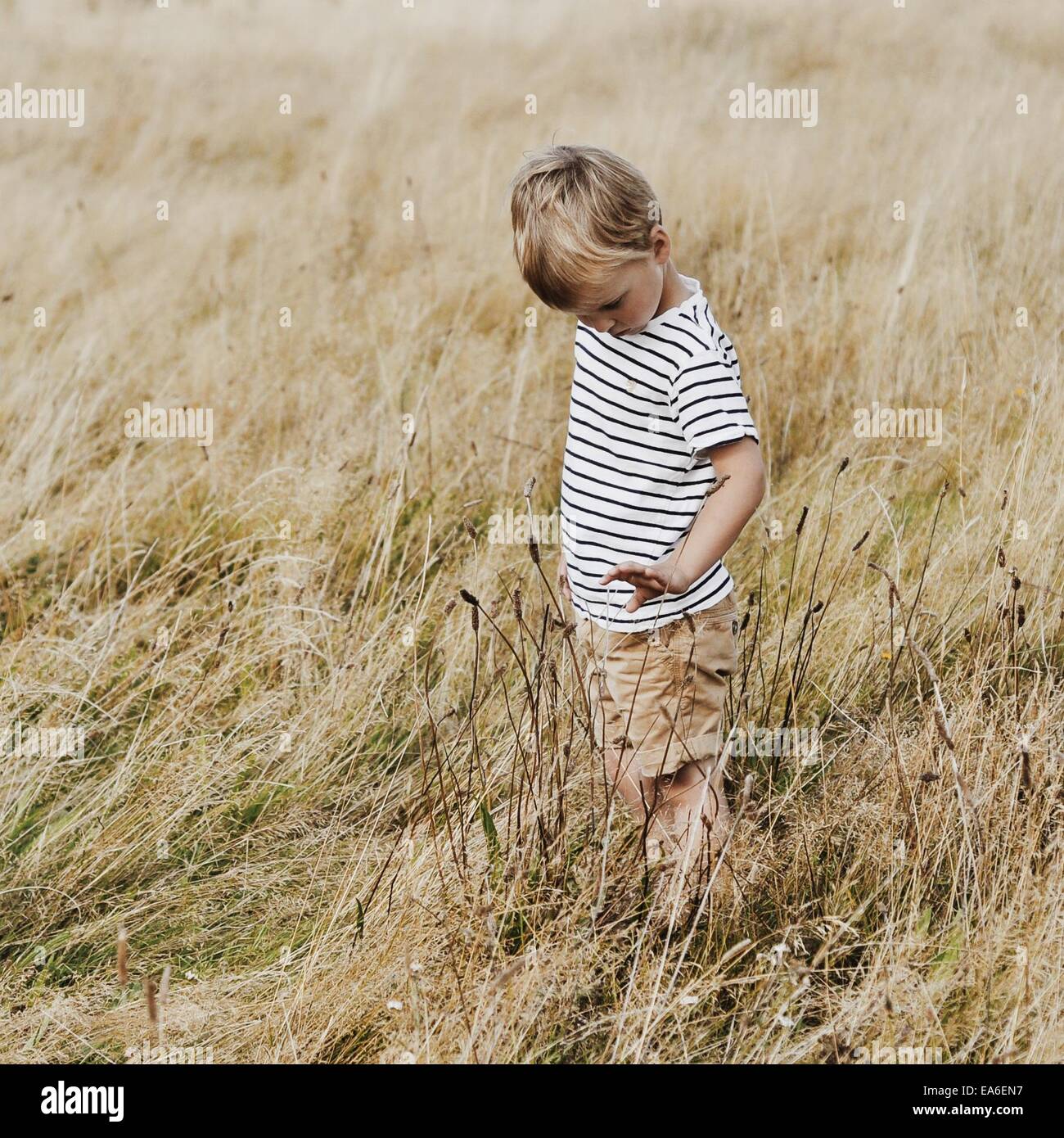 Boy standing in meadow Banque D'Images