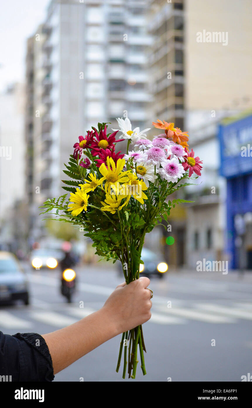 L'ARGENTINE, Buenos Aires, Woman holding bunch of flowers Banque D'Images