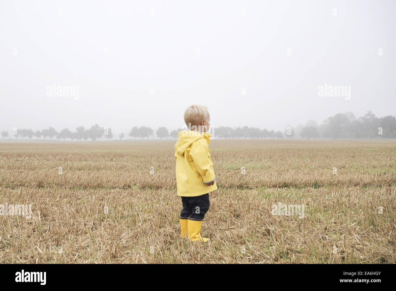 Garçon dans un manteau de pluie debout dans un champ de blé, England, UK Banque D'Images