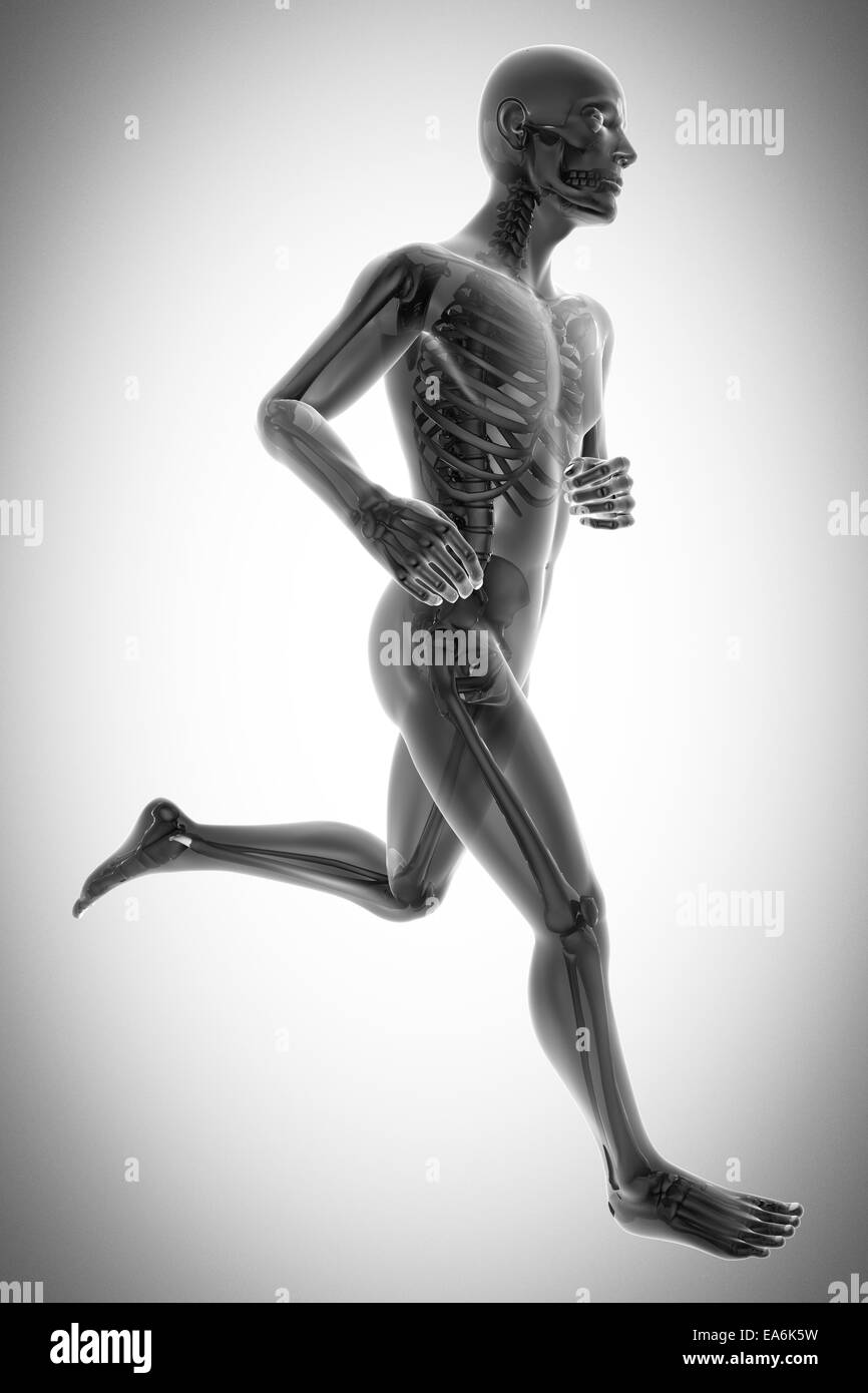 La radiographie des os humains scan image Banque D'Images