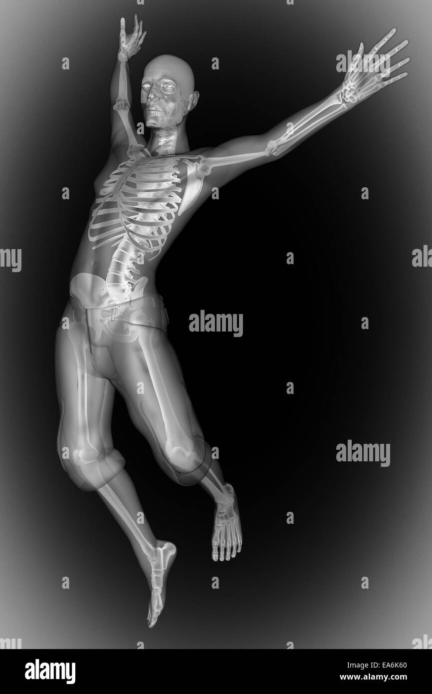 La radiographie des os humains scan image Banque D'Images