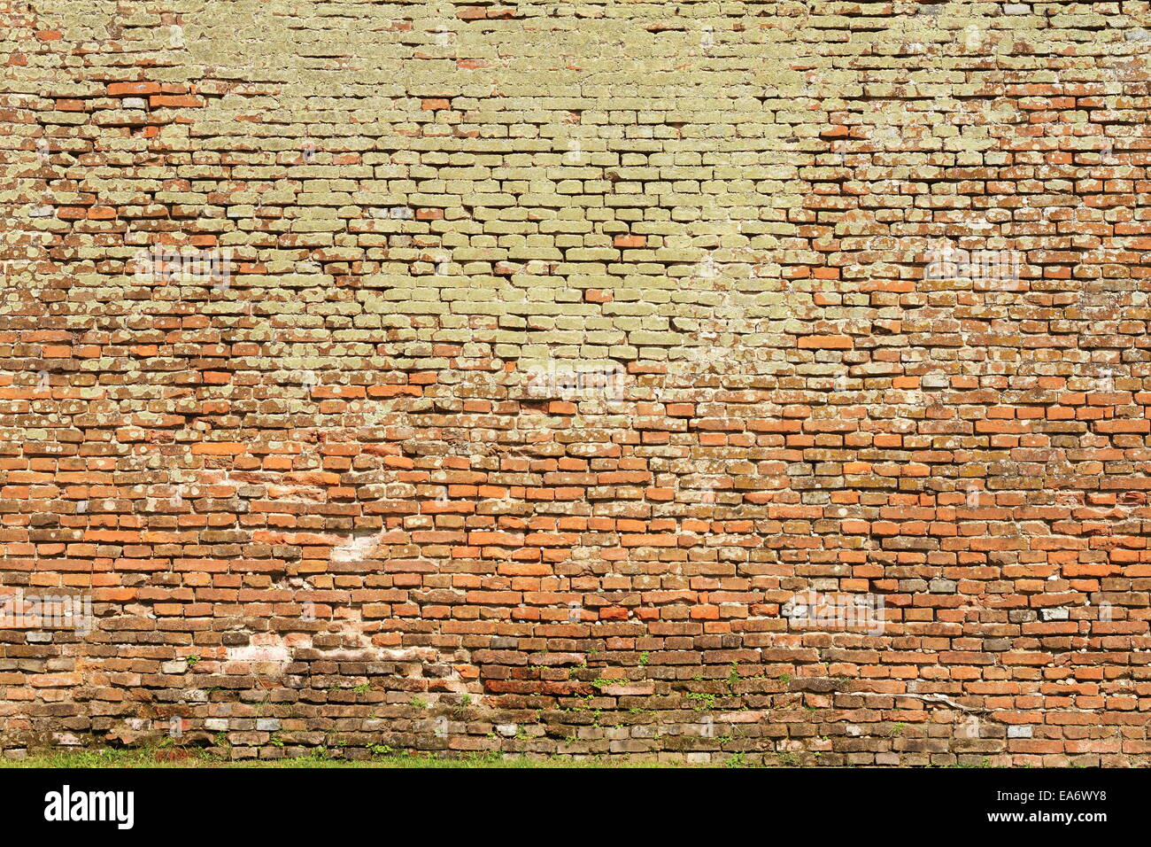 La texture du mur de brique pleine de mousse, fond architectural Banque D'Images