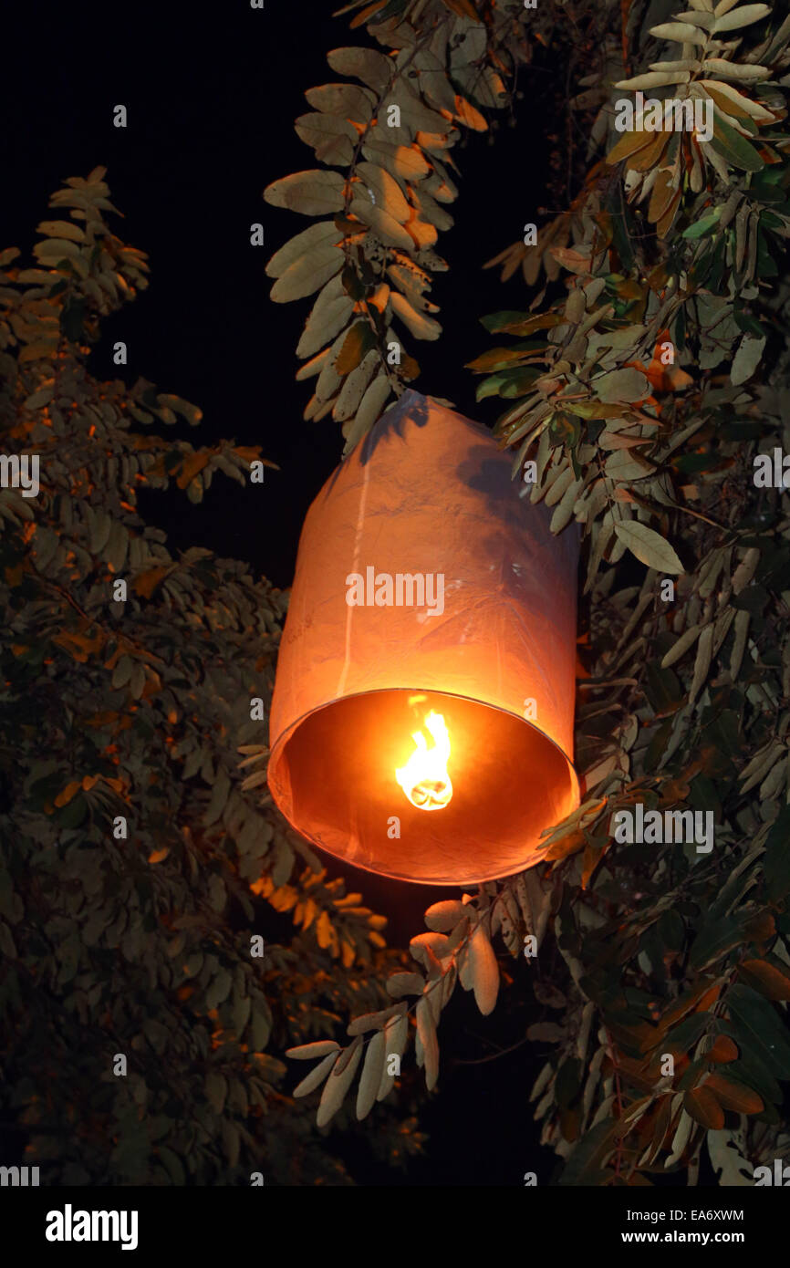 Chiang Mai, Thaïlande. 7e novembre 2014. Malgré de nouvelles lois portant sur la peine de mort pour quiconque publie Khom Loy Sky Lantern a pris près d'aéroports et les habitants de aimé libérant les lanternes pour célébrer Loy Krathong au milieu de Chiang Mai en Thaïlande, bien loin de l'aéroport. Bien que la majorité des lanternes sont libérés en toute sécurité et le nombre d'incendies est très minime, étant donné le nombre de lanternes sont libérés, le gouvernement thaïlandais est très préoccupé par la menace d'incendie et au trafic aérien. Crédit : Paul Brown/Alamy Live News Banque D'Images