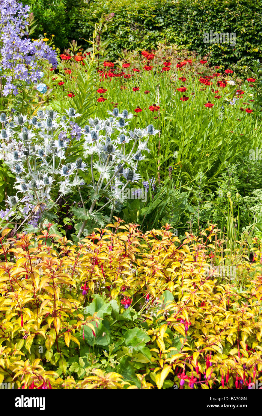 Des massifs de fleurs, les Jardins du Château de Dunvegan, Isle of Skye, Scotland, United Kingdom Banque D'Images
