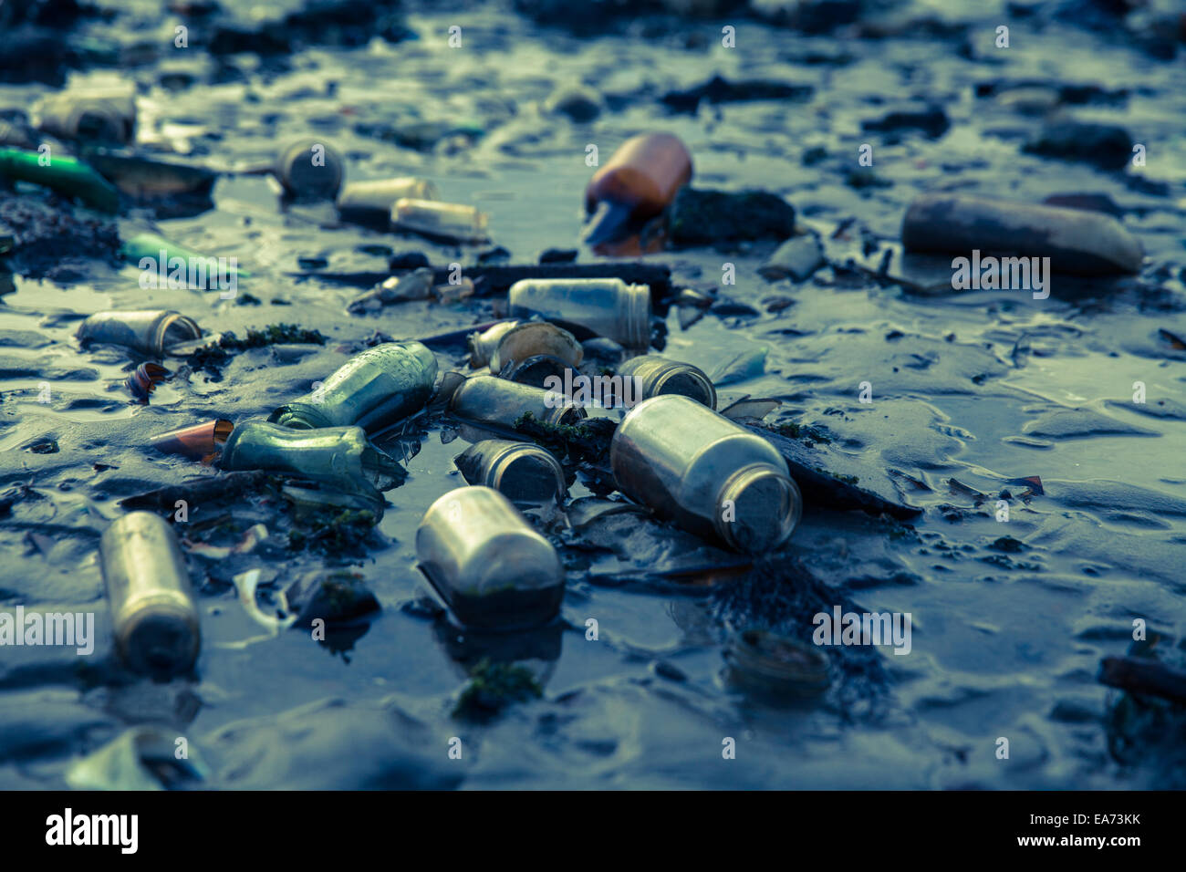 Bouteilles cheval mort Bay Banque D'Images