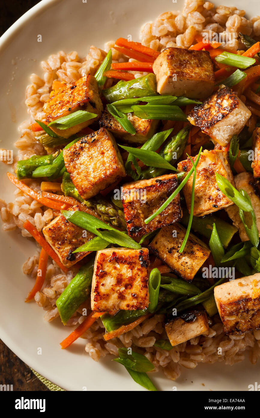Sauté de tofu fait maison avec légumes et riz Banque D'Images