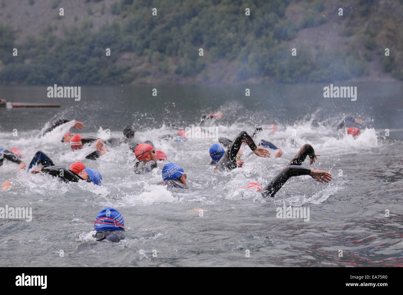 La jambe de natation dans le Sognefjorden démarre le Aurlandsfjellet Xtreme Triathlon 2014 Banque D'Images