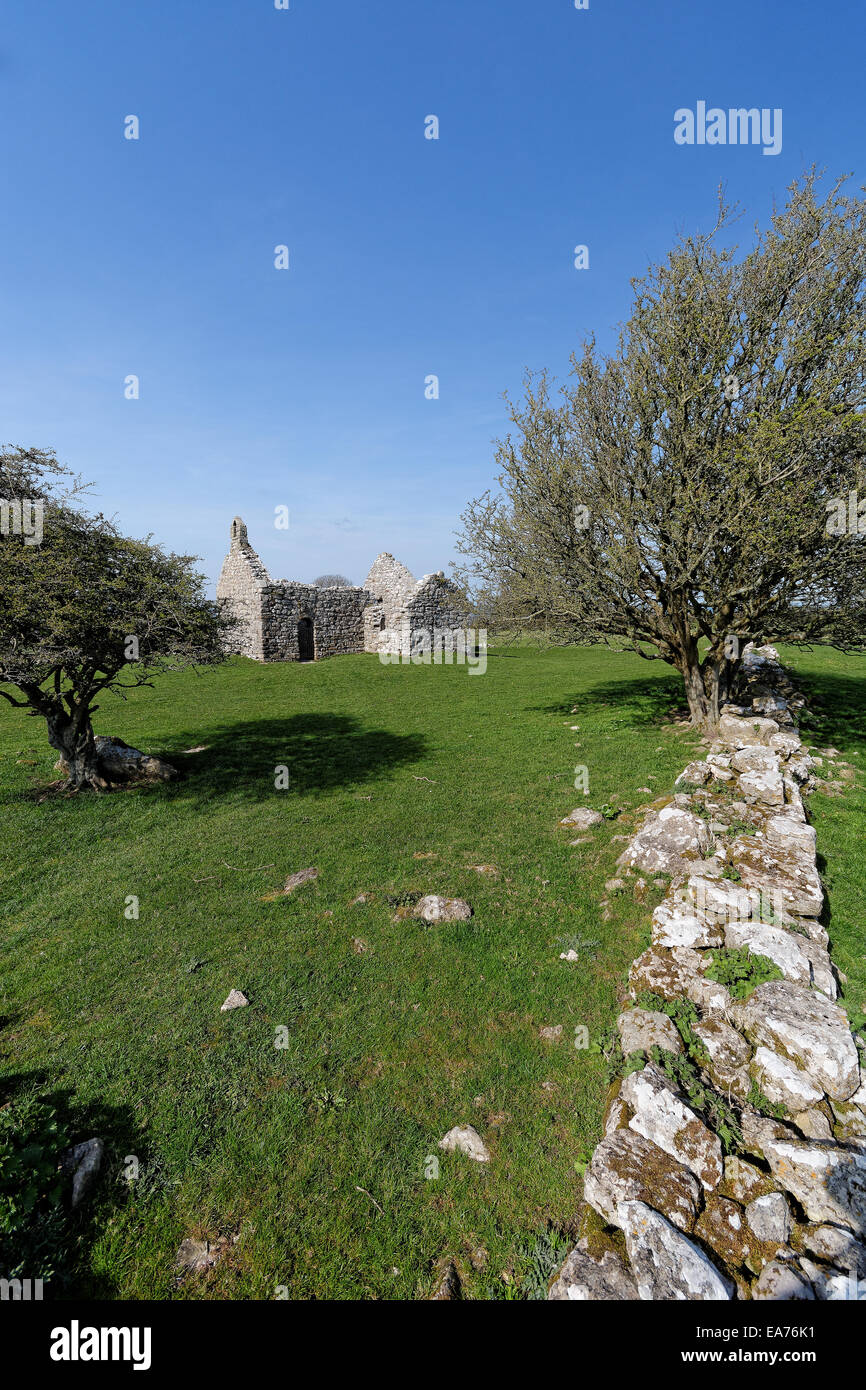 Les murs en moellons de pierre de la Din Lligwy abandonnés Capel, Llangefni, Anglesey, Pays de Galles encadrée par un mur de soutènement de tomber vers le bas. Banque D'Images