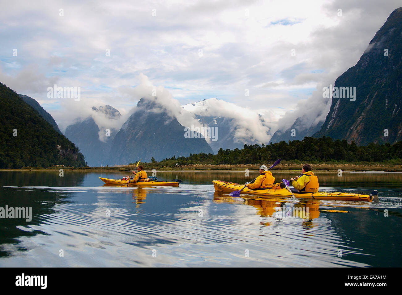 Kayak de mer dans la région de Milford Sound, Nouvelle Zélande Banque D'Images