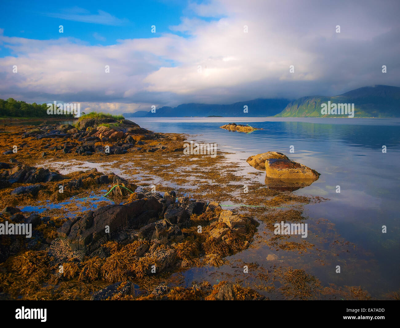 Vue sur la côte norvégienne Banque D'Images