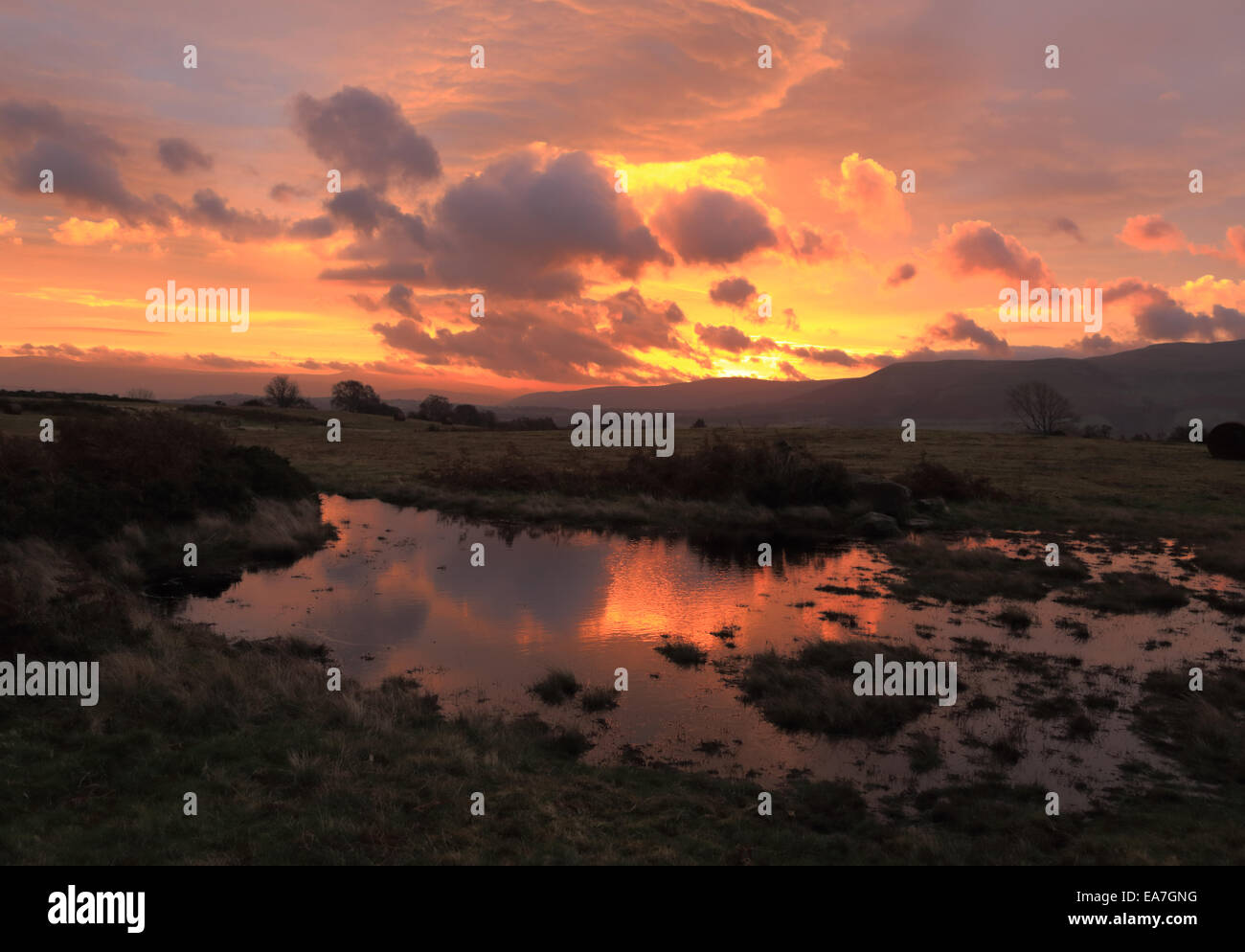 Paysage de l'aube dans le parc national de Brecon Beacons, prise sur le Mynydd commun Illtud Banque D'Images