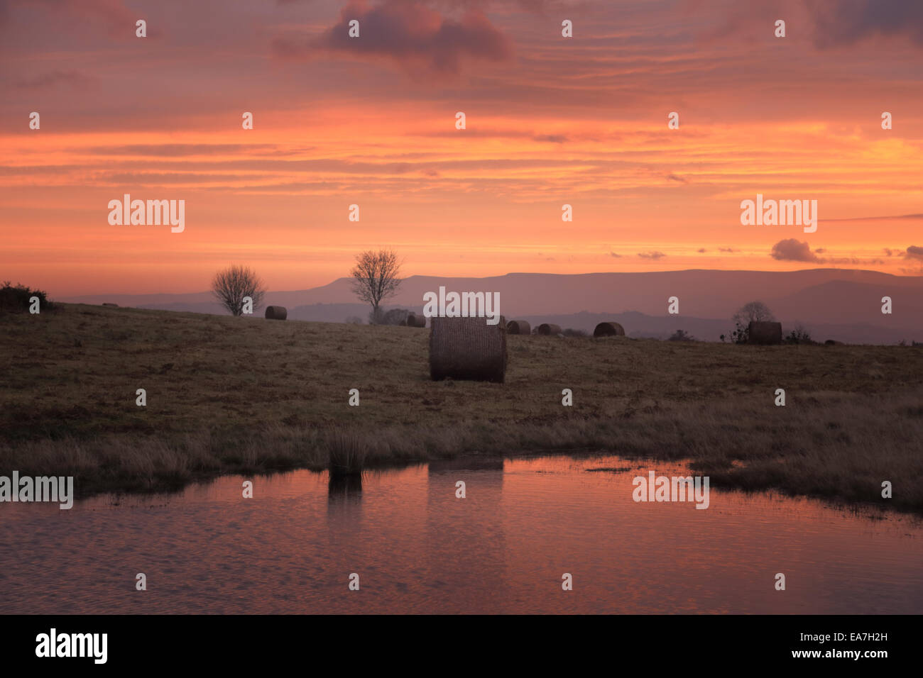 Paysage de l'aube dans le parc national de Brecon Beacons, prise sur le Mynydd Illtud, commune près de Brecon avec lumière matin rougeoyant Banque D'Images