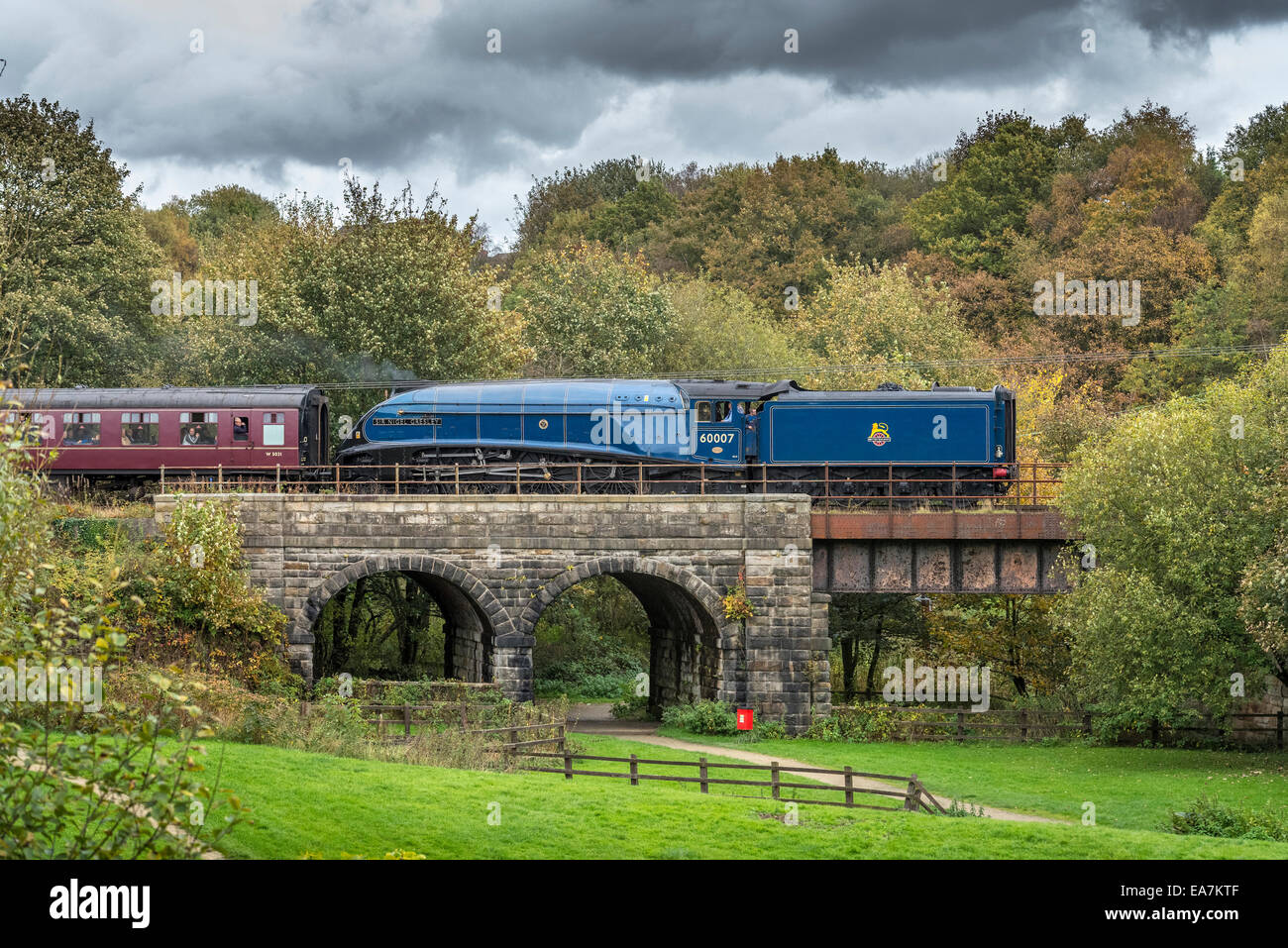 L'A4 Pacific Sir Nigel Gresley traverse le parc d'ébarbures viaduc. Le chemin de fer à vapeur East Lancashire Automne gala Oct 2014. Banque D'Images L'A4 Pacific Sir Nigel Gresley traverse le parc d'ébarbures viaduc. Le chemin de fer à vapeur East Lancashire Automne gala Oct 2014. Banque D'Images
