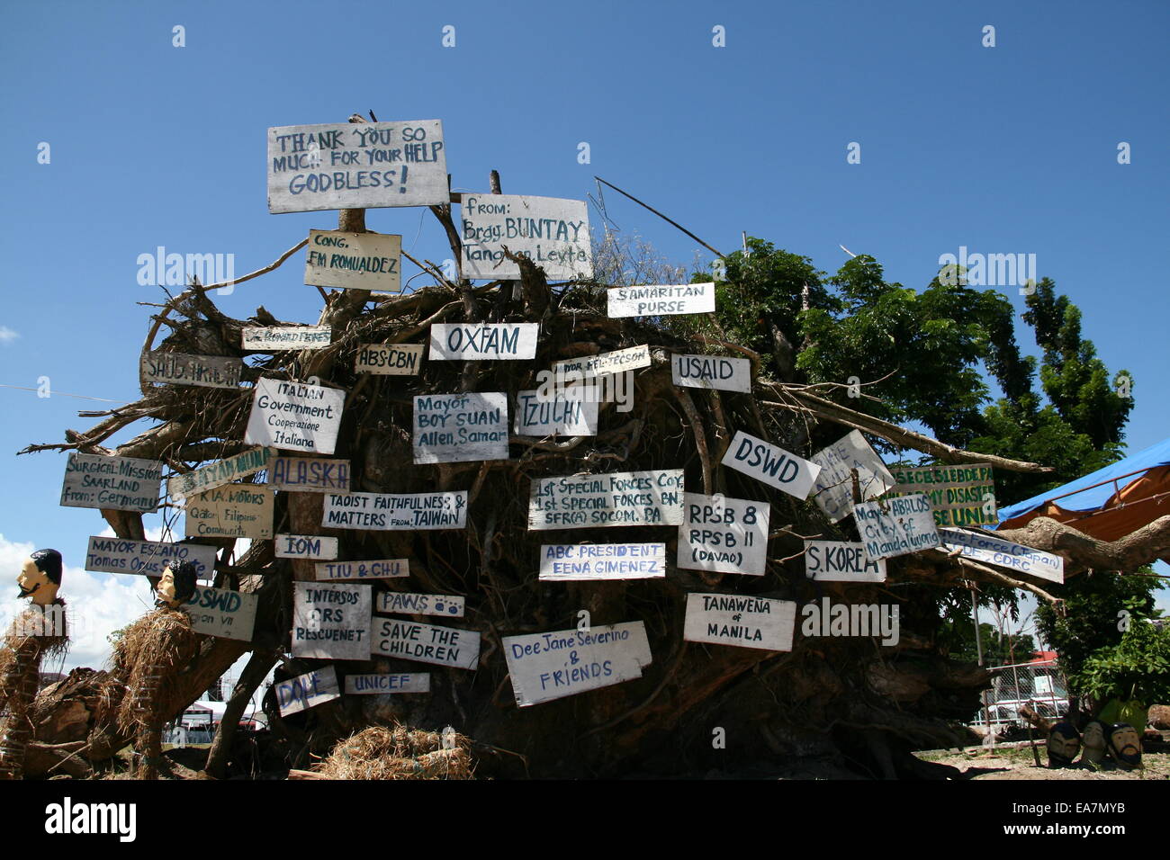 Groningen, aux Philippines. Nov 8, 2014. Un arbre déraciné par le typhon Haiyan, est rempli avec les noms des organisations d'aide étendu aux victimes de St-flour, Leyte. Avec des centaines de morts au cours de la première heure de la tempête, et gisant presque partout, les sections locales principalement enterré les morts sur les lieux de sépulture de fortune. Sans aucune aide du gouvernement local, les survivants ont enterré les morts dans la crainte de provoquer des maladies de pourriture. Crédit : J Gerard Seguia/Pacific Press/Alamy Live News Banque D'Images