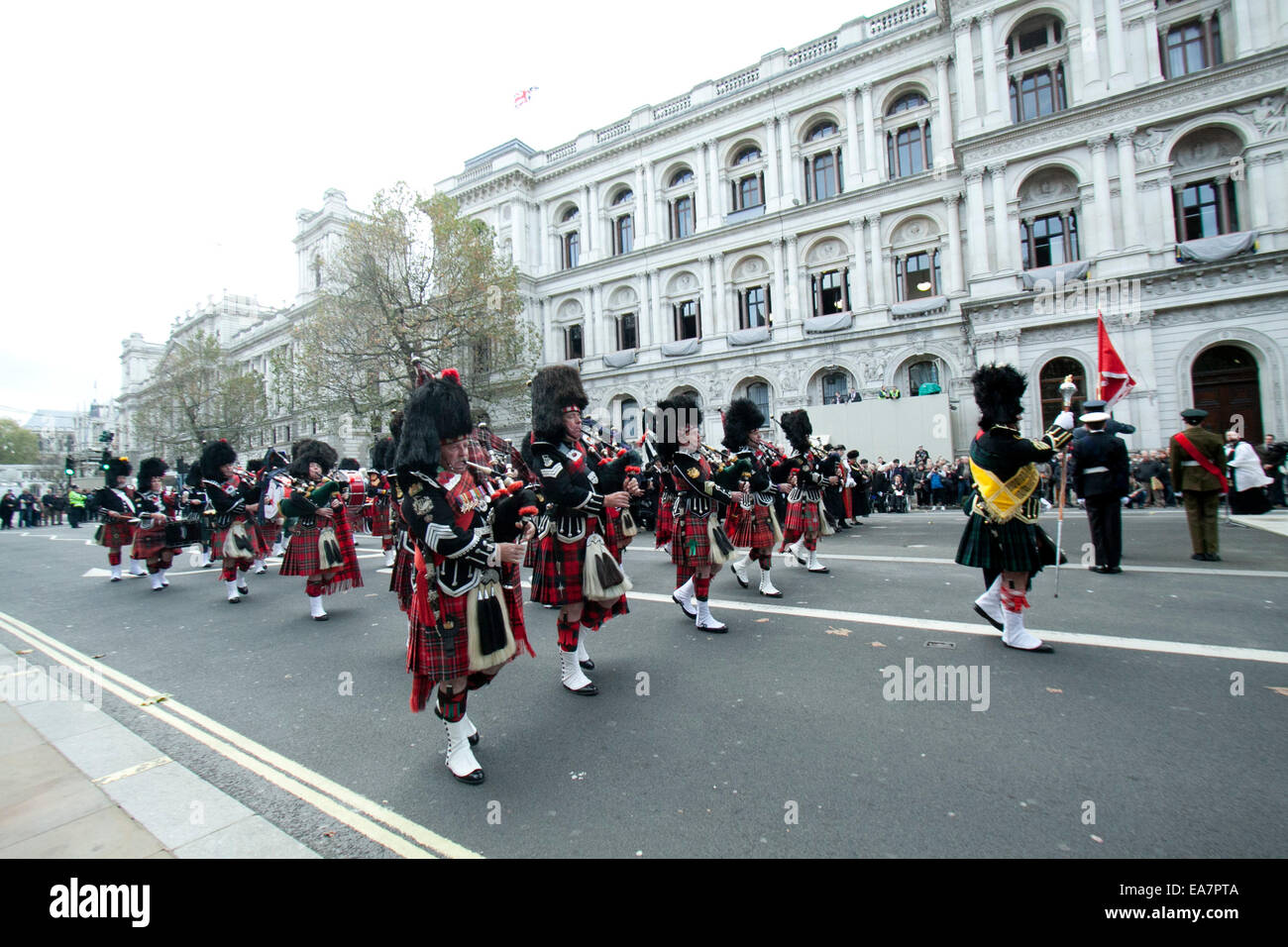 Westminster London,UK. 8e novembre 2014. Le sud de Highlanders Pipes and Drums effectuée au cours d'une cérémonie de dépôt de gerbes et de prière en l'honneur des veuves de guerre au cénotaphe de Whitehall London Crédit : amer ghazzal/Alamy Live News Banque D'Images