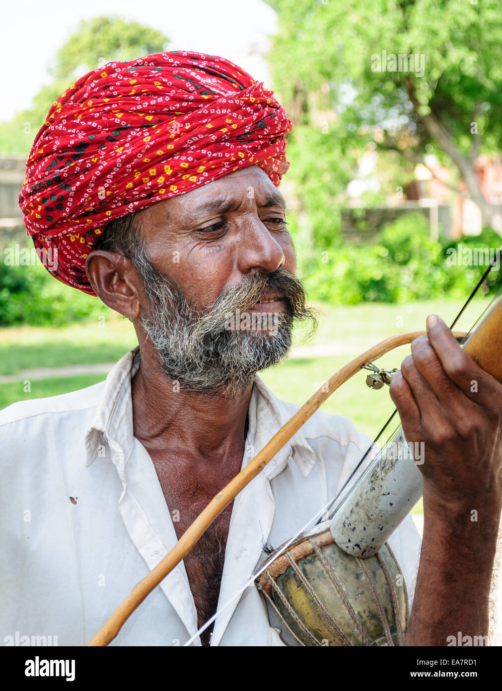 Ancien musicien folklorique du Rajasthan à l'Ravanhatha à Mador garden, Jodhpur, Rajasthan, India Banque D'Images