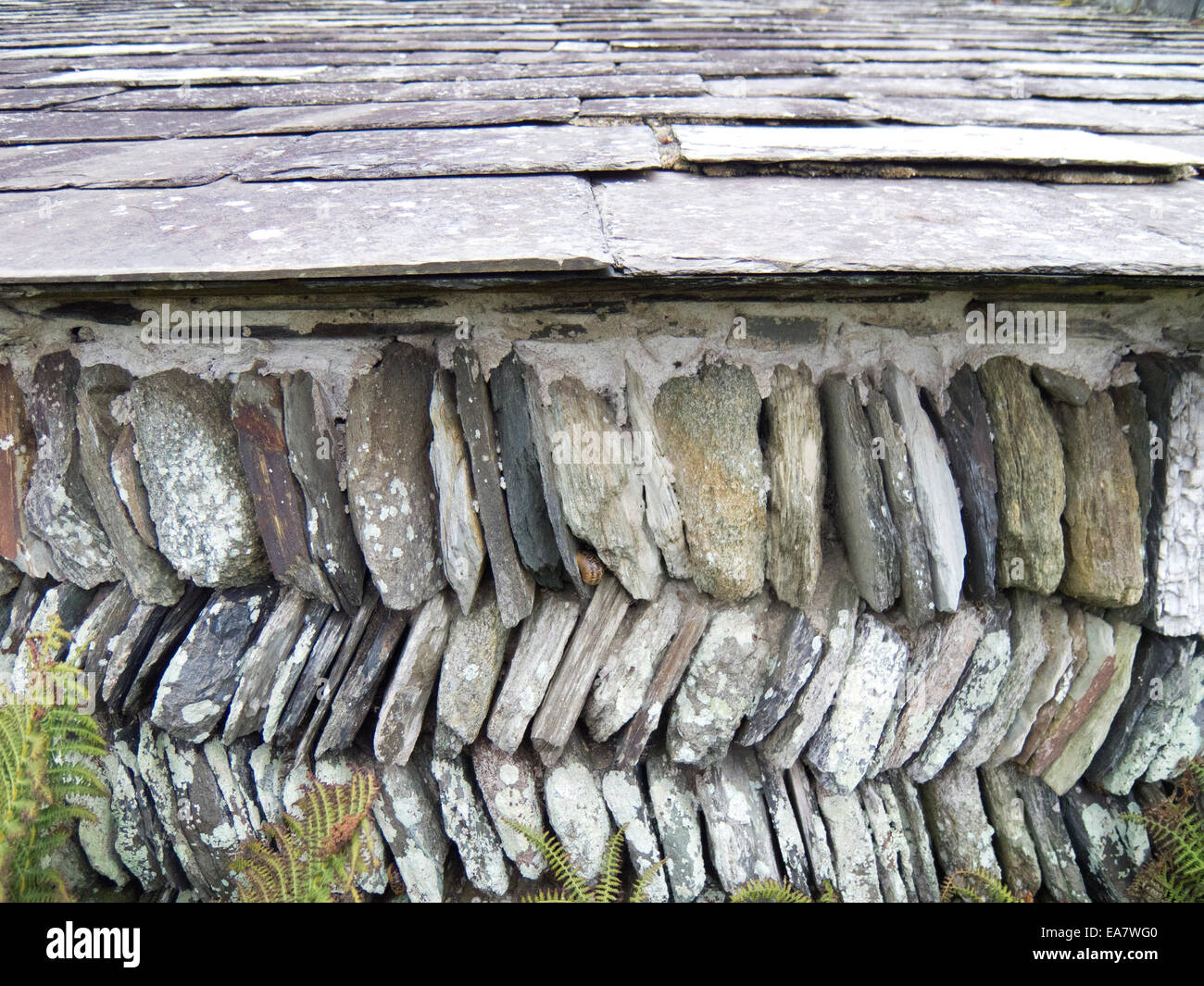 Cornish slate des murs et du toit de la construction Banque D'Images