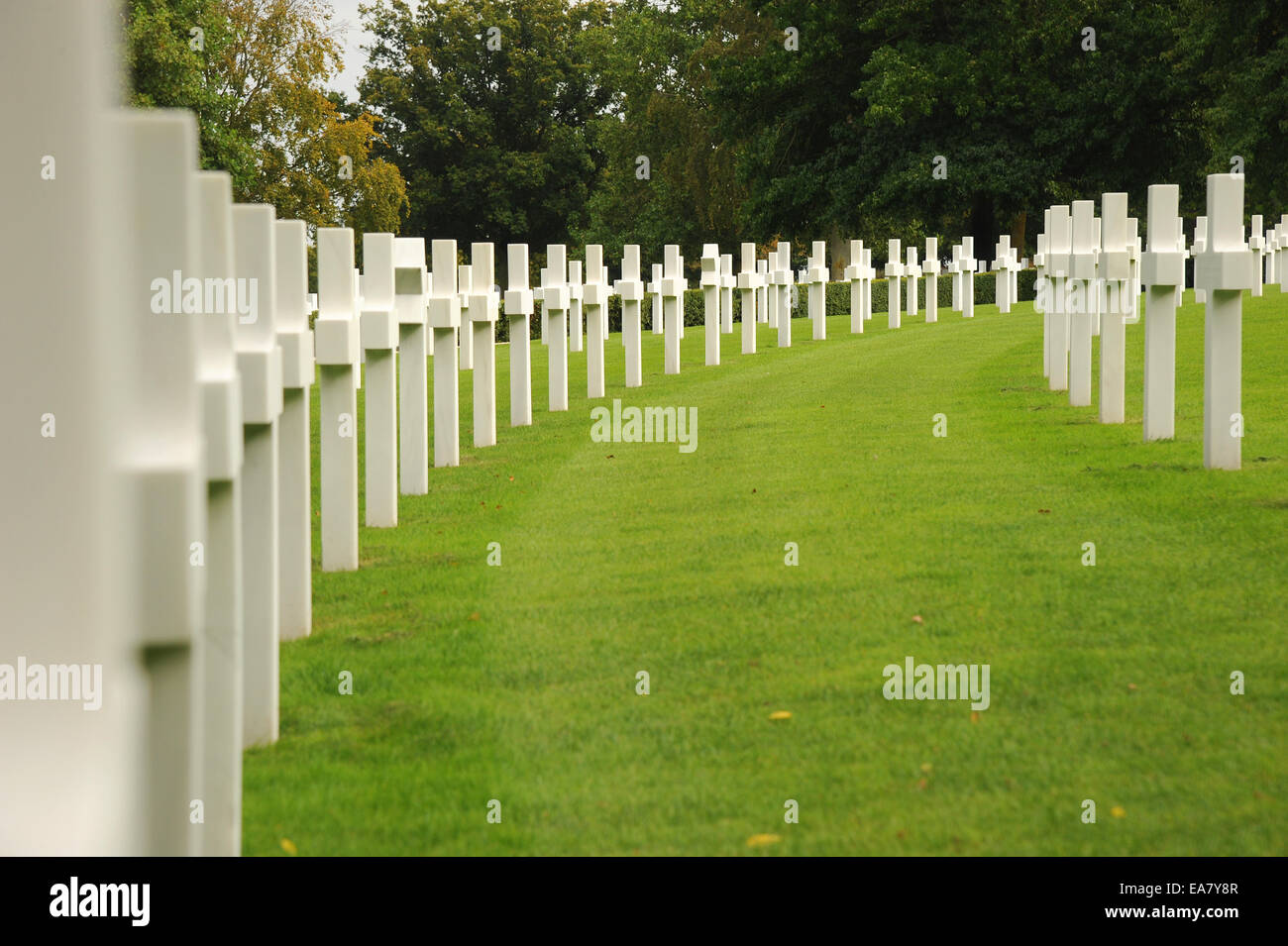 Le marbre blanc des croix à le cimetière militaire américain. Cambridge. L'Angleterre. Le seul cimetière dans le Royaume-Uni pour des soldats américains Banque D'Images