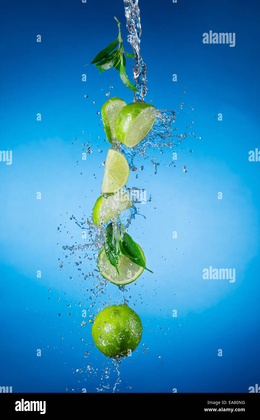 Studio shot of fresh limes avec de l'eau splash sur fond bleu Banque D'Images