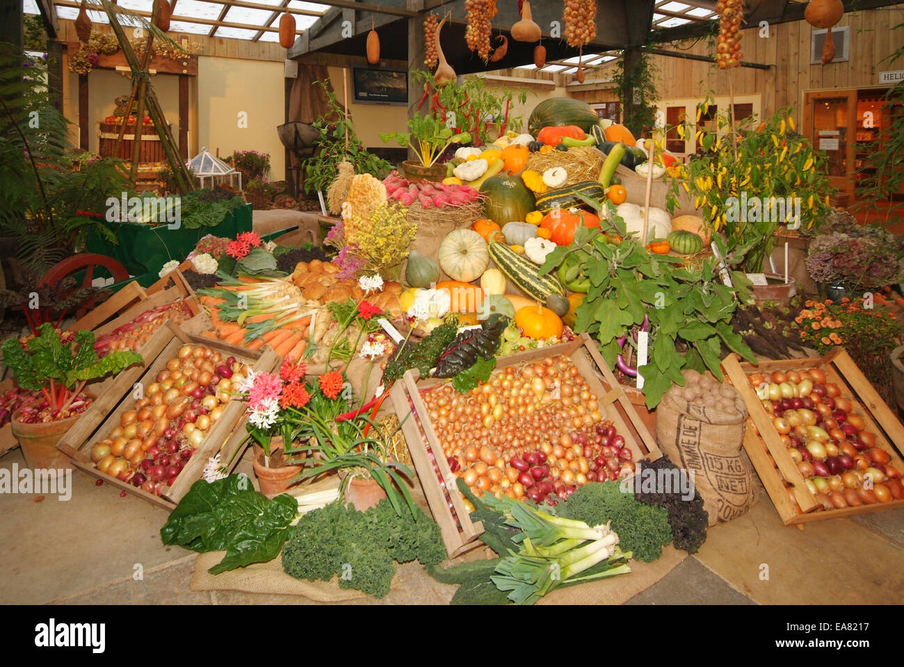 Les jardins perdus de Heligan automne produire sous couvert d'affichage à l'intérieur du bâtiment par shop Restormel Milieu Cornouailles du Sud-ouest de l'Angleterre Banque D'Images