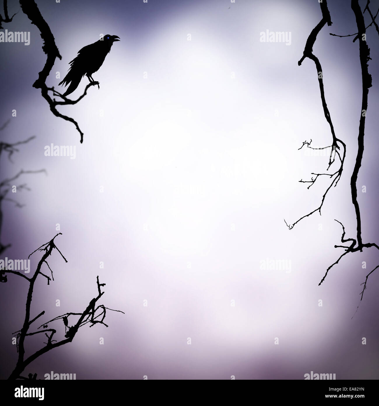 Arrière-plan de l'halloween avec raven d'ossature et de l'espace libre pour le texte Banque D'Images