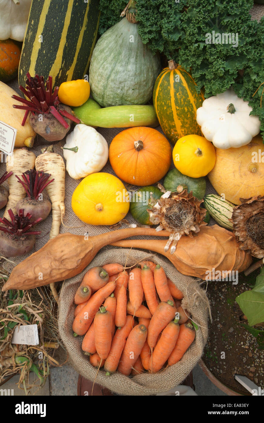 Les jardins perdus de Heligan autumn produire sous couvert d'affichage à l'intérieur du bâtiment par shop Restormel Mid Cornwall South Nous Banque D'Images