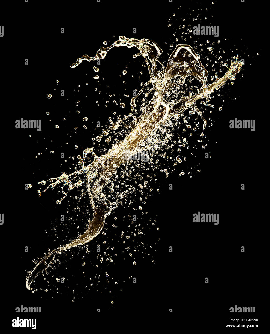 Splash Champagne isolé sur fond noir Banque D'Images