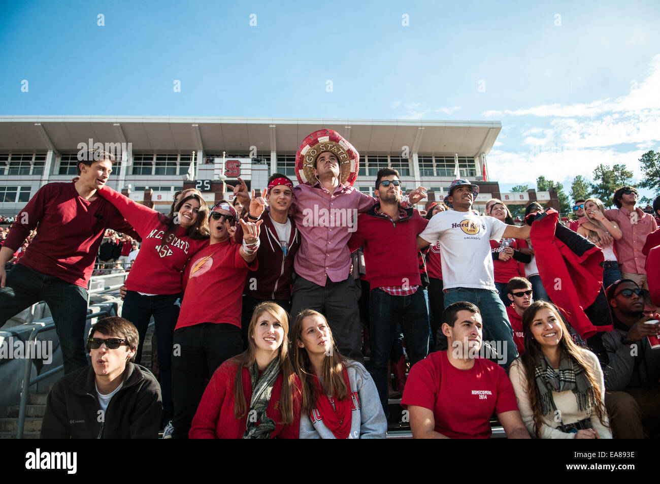 Raleigh, Caroline du Nord, États-Unis. Nov 8, 2014. 8 novembre 2014 - Raleigh, NC, USA - North Carolina State Wolfpack fans montrent leur esprit pendant le match de samedi contre le Georgia Tech Yellow Jackets. Les Yellow Jackets défait le Wolfpack, 56-23. Credit : Timothy L. Hale/ZUMA/ZUMAPRESS.com/Alamy fil Live News Banque D'Images