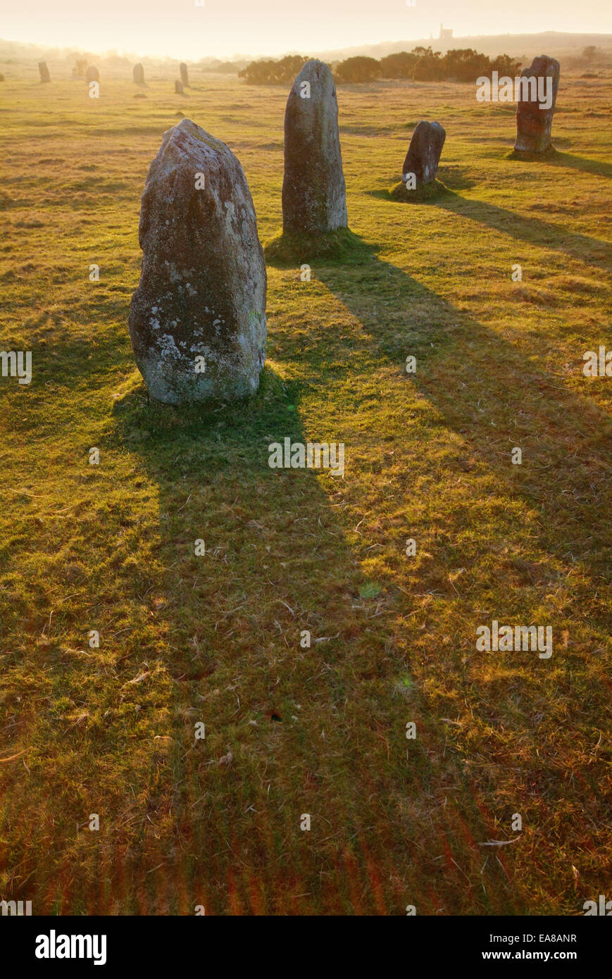 Partie de pierres figurent parmi les cercles de pierre en fin d'après-midi soleil larbins Bodmin Moor South East South West Cornwall Banque D'Images