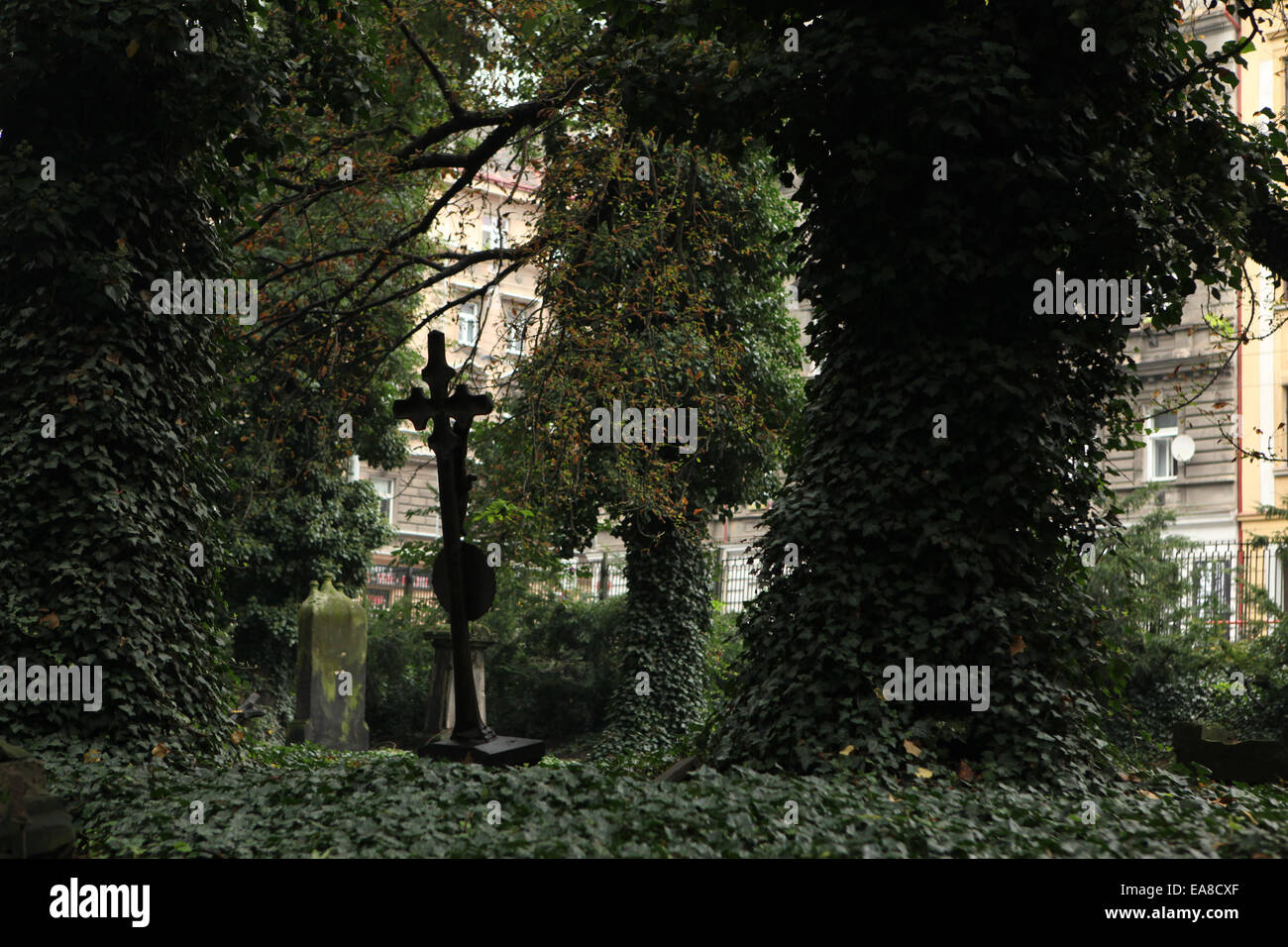 Pierres tombales abandonnées au cimetière Malostransky à Prague, République tchèque. Banque D'Images