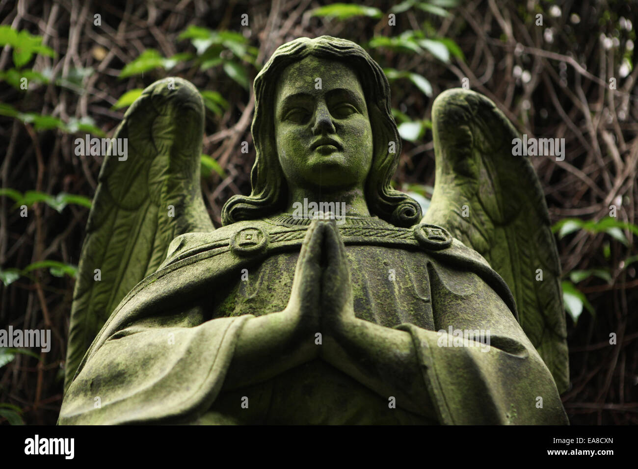 Angel. Abandonné à la pierre tombale Cimetière Malostransky à Prague, République tchèque. Banque D'Images