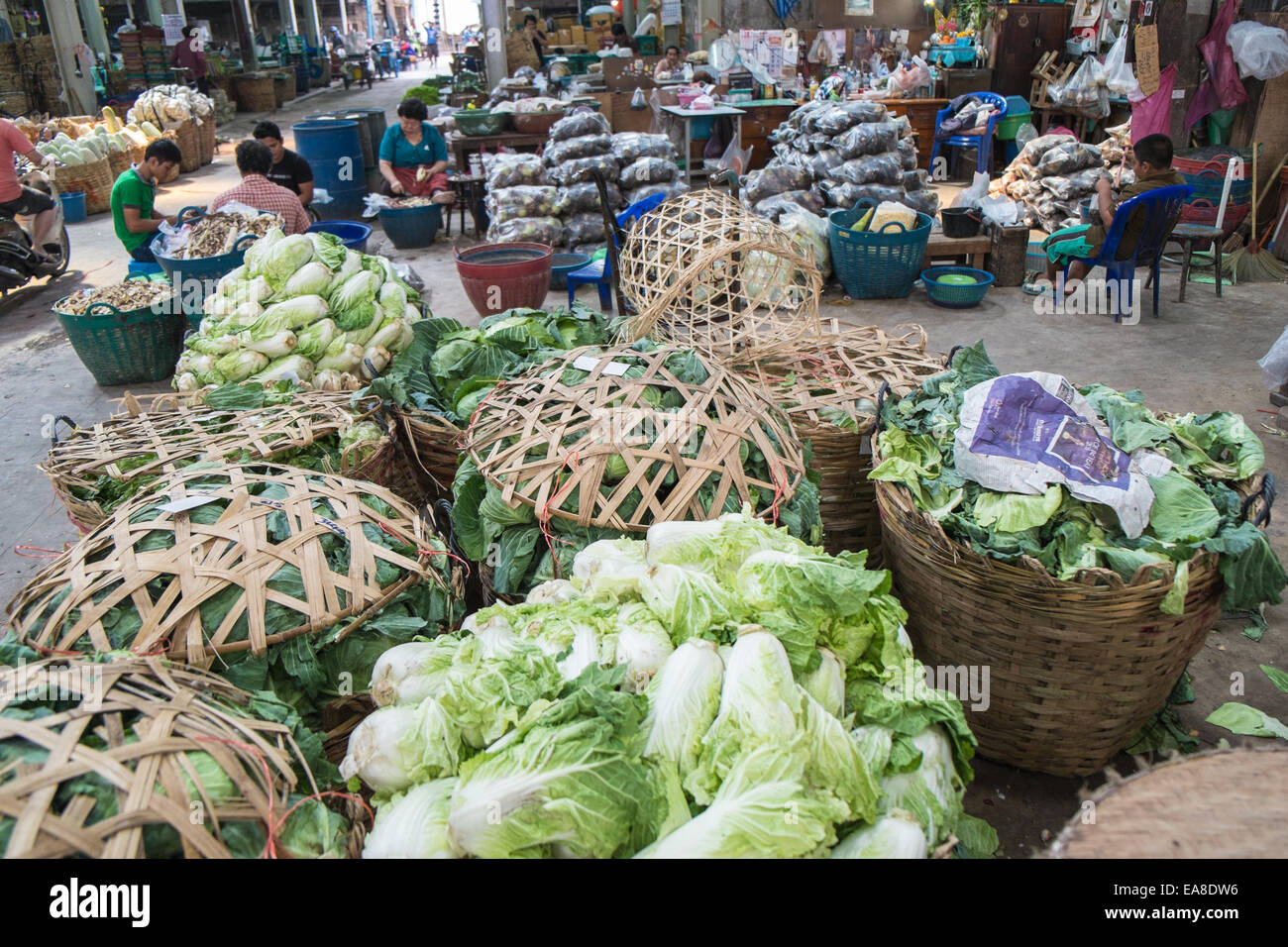 La vente de légumes verts à Pak Klong Talad Talat,marché aux fleurs,Chinatown,Bangkok,Thaïlande,Asie. Banque D'Images