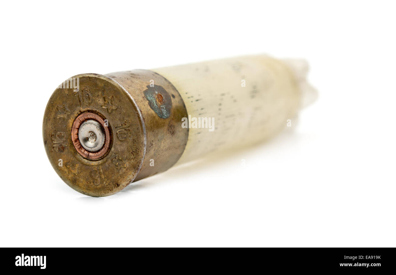 White shell fusil isolated on white Banque D'Images