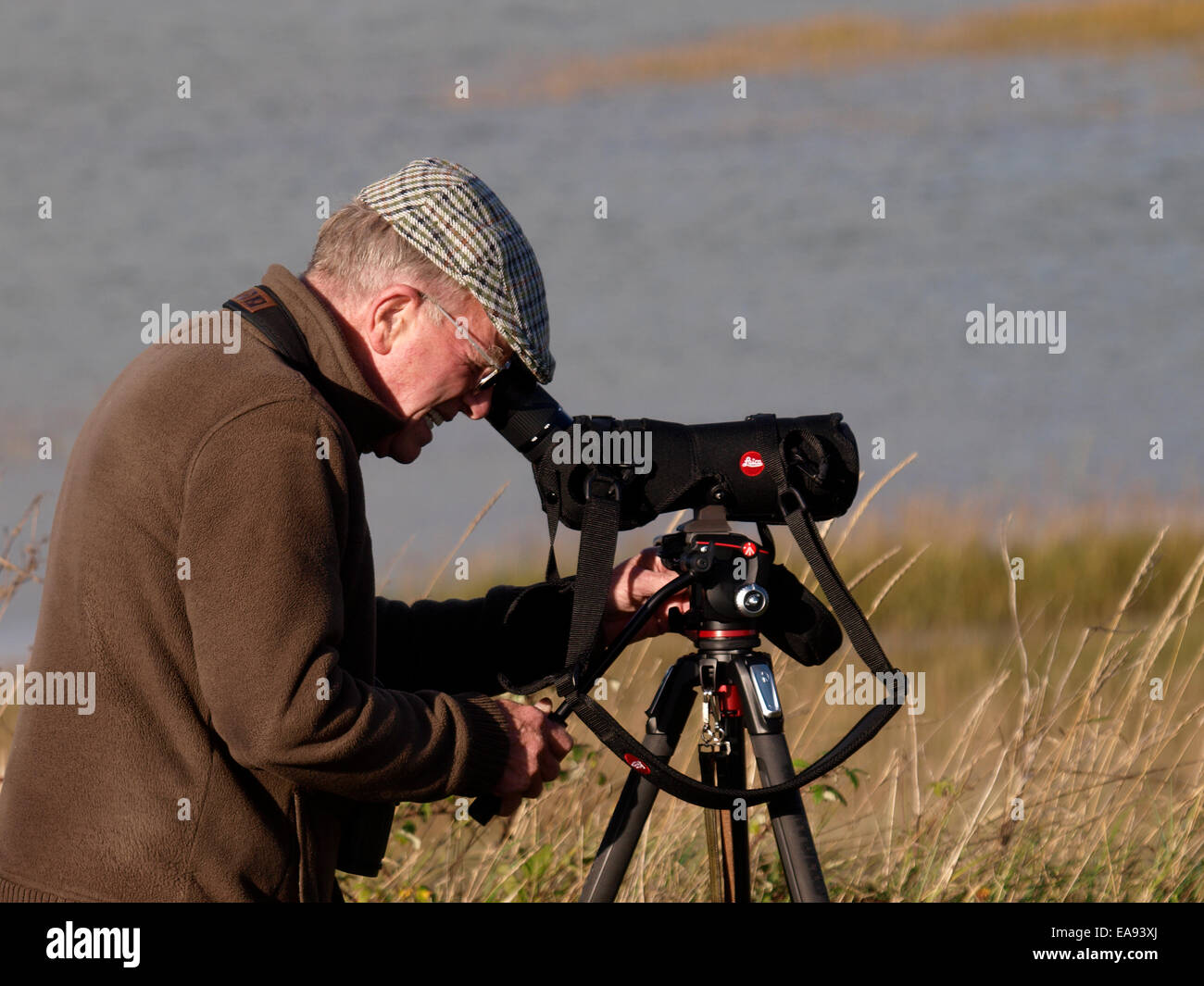 Senior citizen l'observation des oiseaux à l'aide d'un champ, Instow, Devon, UK Banque D'Images
