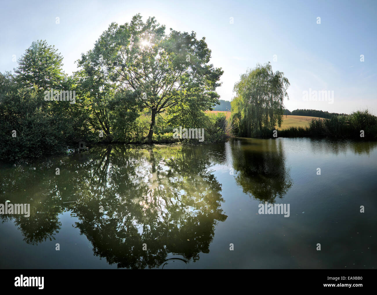 Petit lac près de Aquino Tagungszentrum, Hesse, Allemagne Banque D'Images