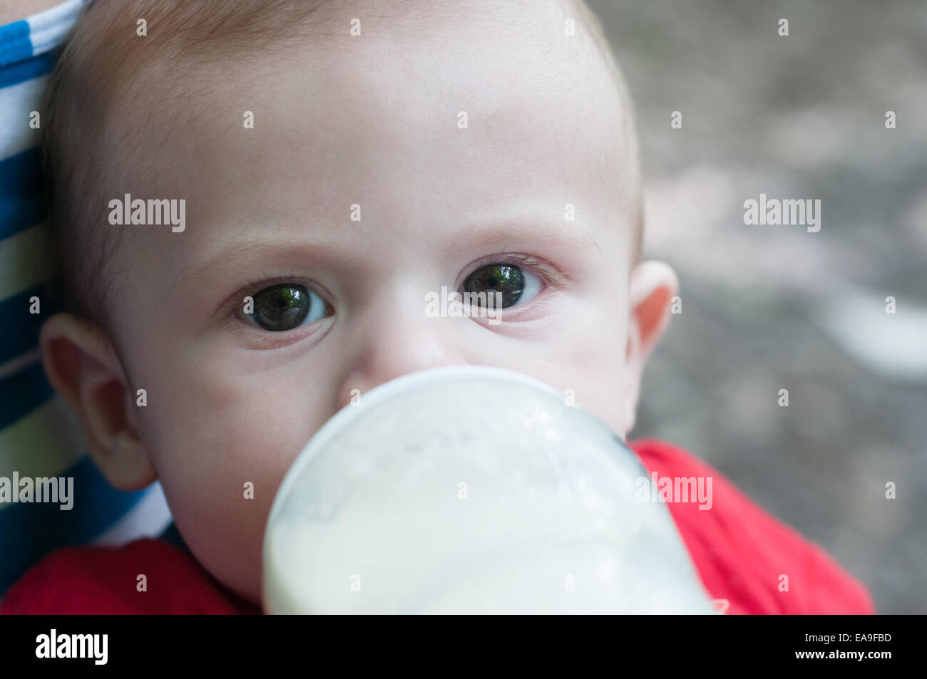 Boire du lait pour bébé Banque D'Images