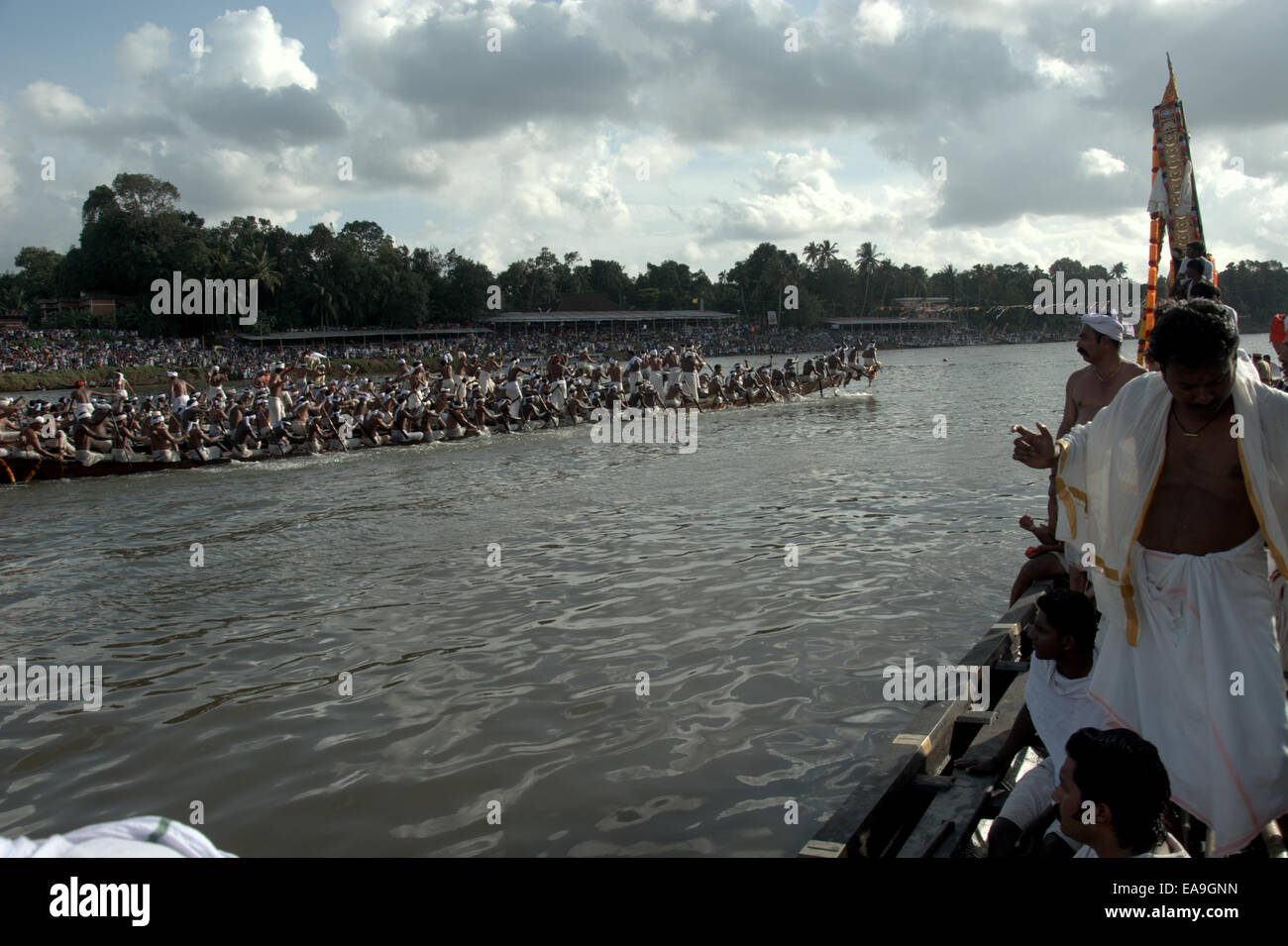 Aranmula Vallamkali (Aranmula Snake Boat Race Festival), qui a eu lieu au cours de Onam dans le sud-ouest de l'État indien du Kerala. Banque D'Images