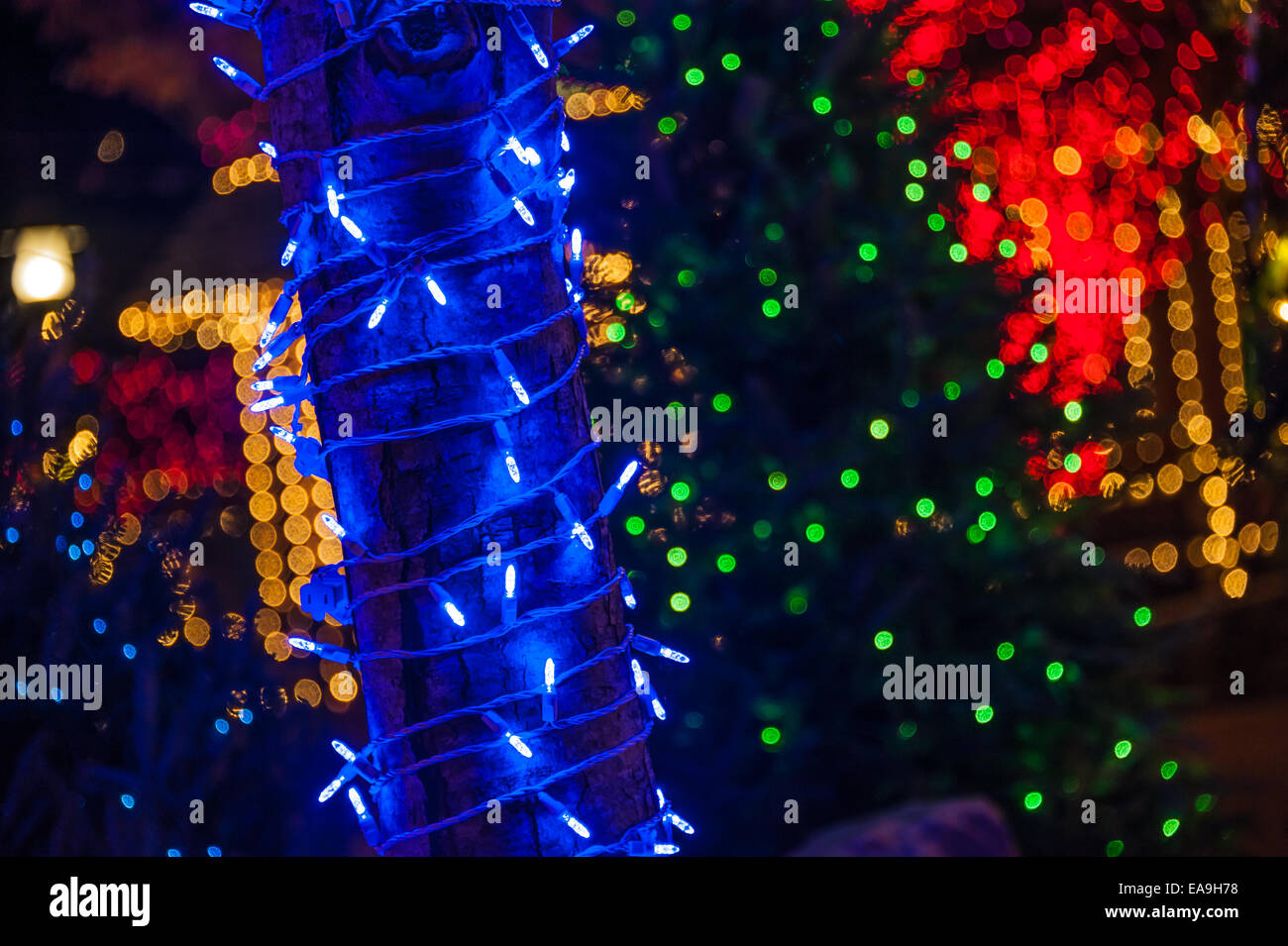 Les lumières de Noël peindre la nuit avec de la couleur à Atlanta, Géorgie, USA. Banque D'Images