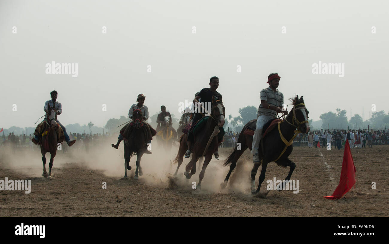 Patna, Inde. Nov 9, 2014. Jockeys traditionnelle indienne à prendre part à une course de chevaux au cours de l'assemblée annuelle des bovins Sonepur, juste à 25 km de Patna, Inde, le 9 novembre 2014. La foire a eu lieu sur la confluence de la rivière Ganges et Gandak. Credit : Tumpa Mondal/Xinhua/Alamy Live News Banque D'Images