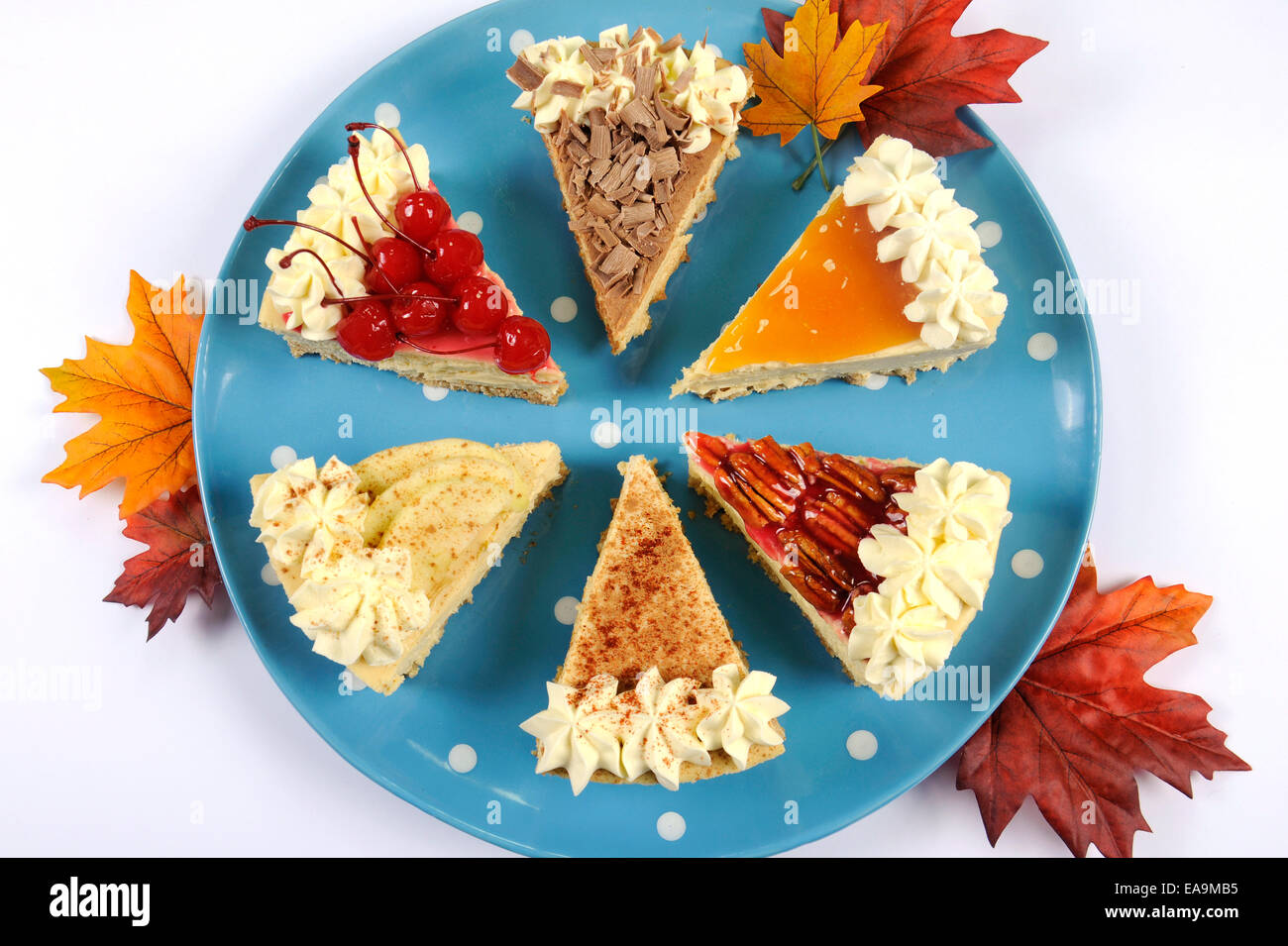 Thanksgiving apple, pécan, cerise, caramel, épices et potiron tarte au chocolat Gâteau au fromage à la crème, sur plateau à pois bleu Banque D'Images