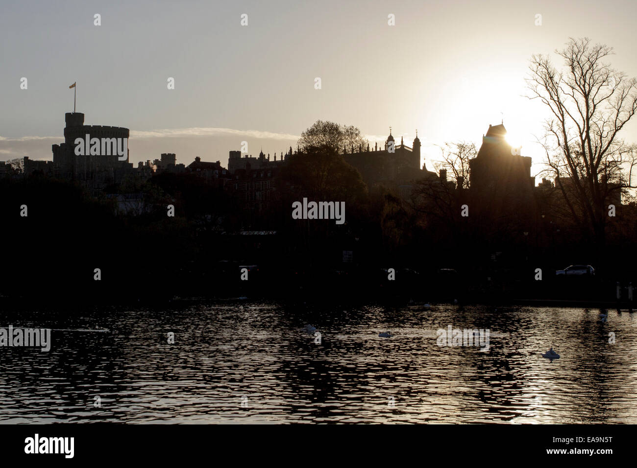 Windsor, Berkshire, Royaume-Uni. 10 novembre 2014. Le soleil se lève derrière le château de Windsor, Berkshire, Royaume-Uni sur les rives de la Tamise. Credit : Ed Brown/Alamy Live News Banque D'Images