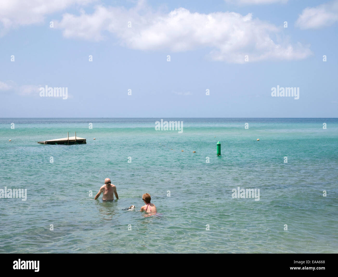 Couple en mer des Caraïbes de natation avec leur chien Banque D'Images