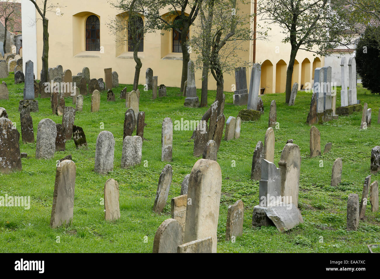 Cimetière juif de Straznice, Hodonin district, South Moravia, République Tchèque, Europe Banque D'Images