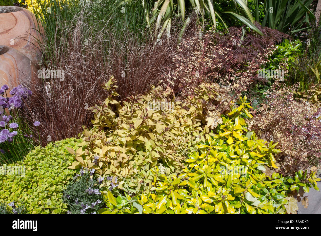 Chelsea Flower Show 2014. Arbuste mixte, l'herbe et la plantation d'herbes pour produire une combinaison brown & scène jaune composé d'Escal Banque D'Images