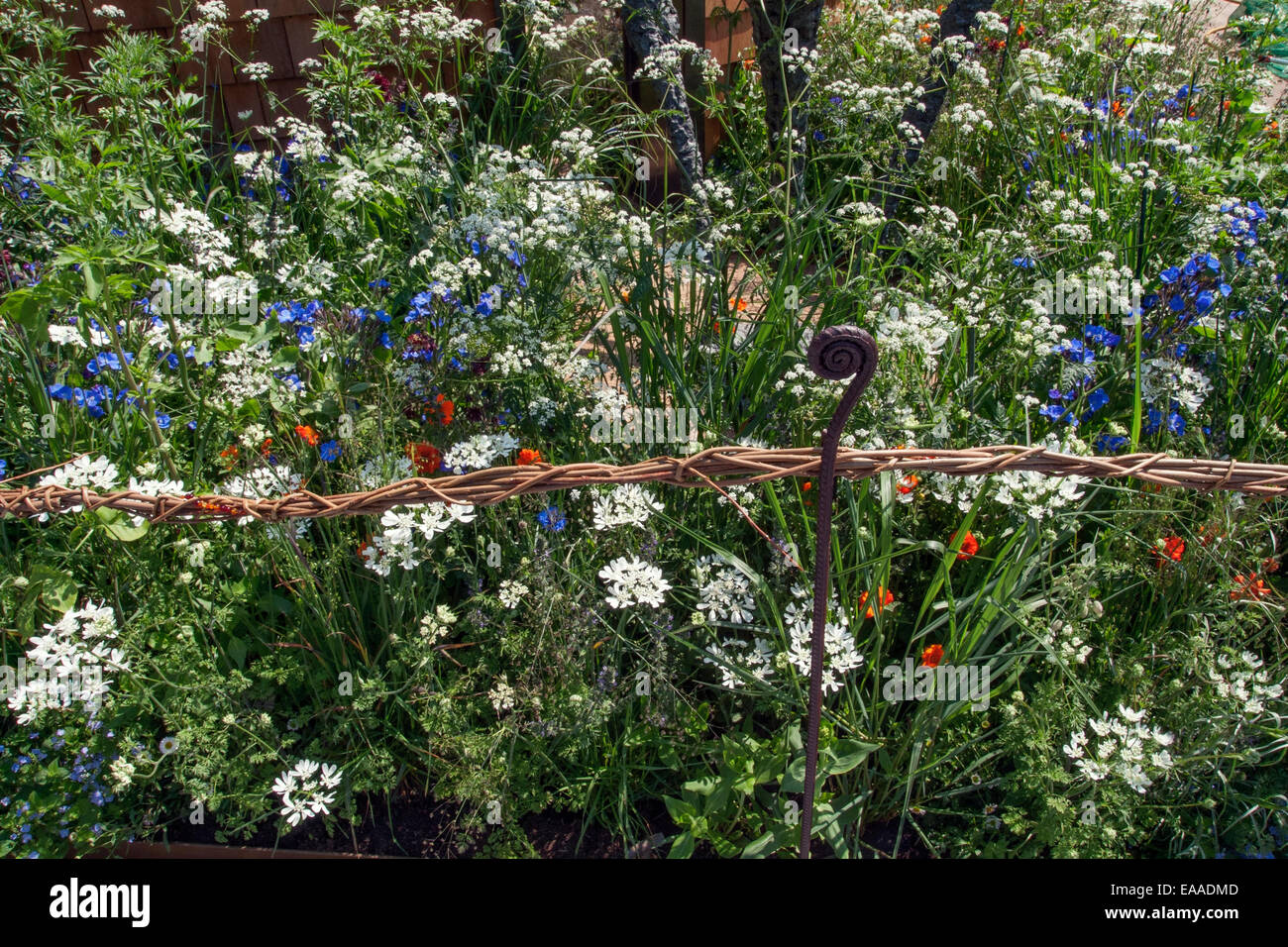 Chelsea Flower Show 2014. Détail d'un rapport annuel et vivaces pré entouré d'une clôture inhabituelle. Banque D'Images