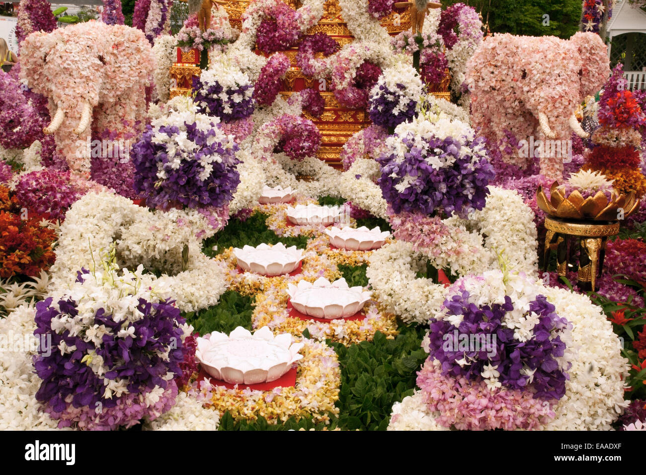 Chelsea Flower Show 2014. Stand d'orchidées en Thaïlande Banque D'Images